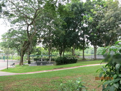 Blk 610 Senja Road (Bukit Panjang), HDB 5 Rooms #211589861